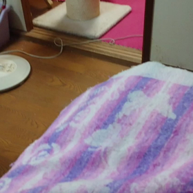 嬉し涙の１日の画像