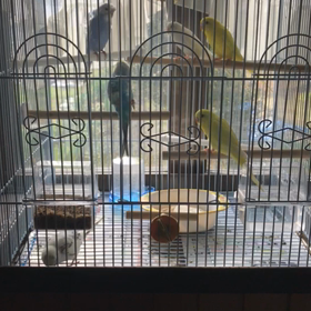 バードホテルの画像