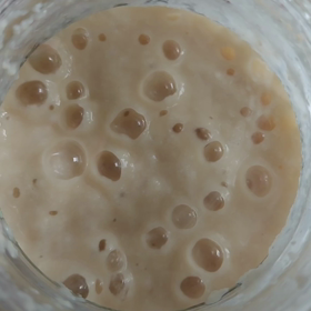 ホシノ丹沢酵母フランスパン種の画像