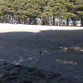 3月4日 走り幅跳び⑯の画像