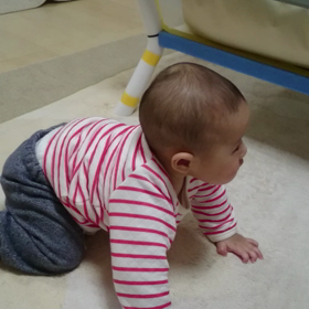 おしりをへこへこの画像