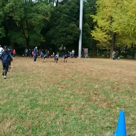 ダッシュ(緑チーム)⑩の画像