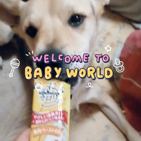 【ズル休み】ワンちゅーる…の画像