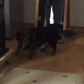 ん？どこにいるの？の画像