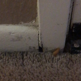 招かれざる客の画像