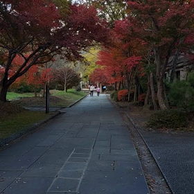 動画撮りました♪の画像