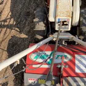 猫の額程の　ƪ(˘⌣˘)ʃの画像