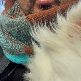 さみしが屋の画像