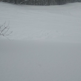 ありがとうございました！の画像