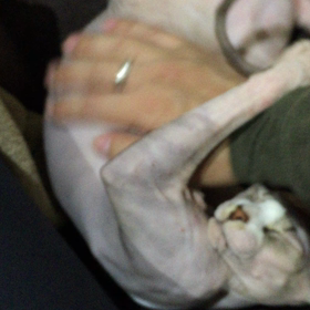 まだまだ続いてます・・の画像