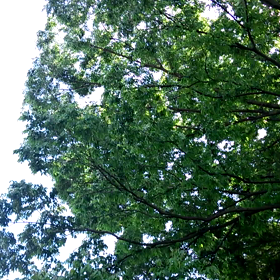 動画を投稿してみます。の画像