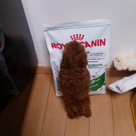 今食べたのに～(〃ﾟ艸ﾟ)クスッの画像