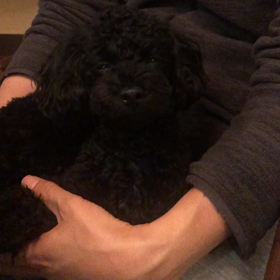 ねむねむクロエの画像