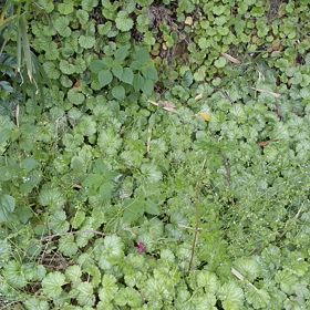 2021年　大分帰省　②（4/30～5/4）の画像