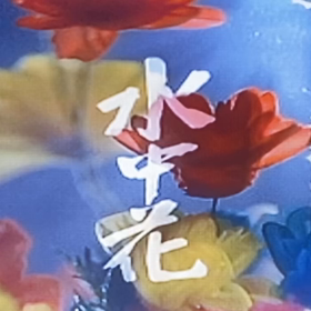 水中花の画像