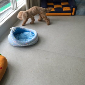 ♪プレイルーム動画♪の画像