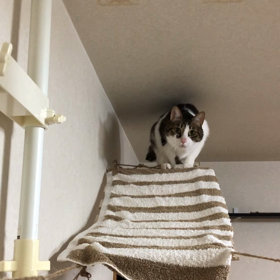 今日は一日中雨の予定が雪に…来れたね！の画像