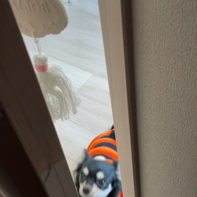 体が言うこときかない、、、の画像