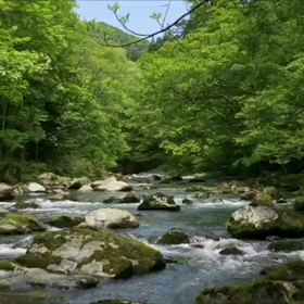 先日の「白神の渓流」での動画ですの画像