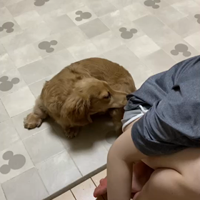 放置プレイ!?の画像