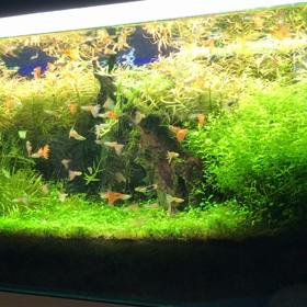 うぇーい。の画像