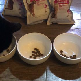 どれが好みかな？の画像