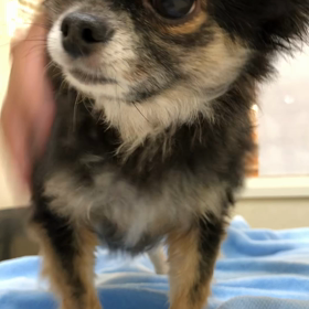 久しぶりにの画像