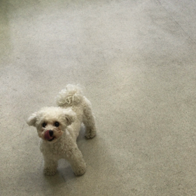 ♪プレイルーム動画♪の画像