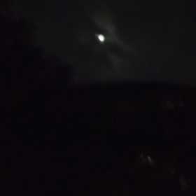 月夜に鳴く蛙の画像