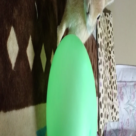 可愛い(*^^*)の画像