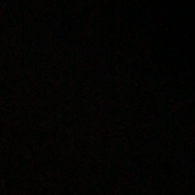 先住猫が心配…3回起こしにきた新入り猫のおかげで早起き動画！の画像