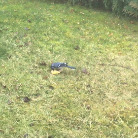 Time is Moneyの画像