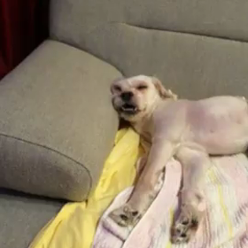 ニュースキャスターるんるんの画像