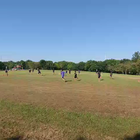 10月2日 アクティビティー④の画像