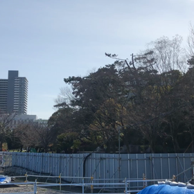 駿府城跡天守台発掘調査現場 (動画)。の画像