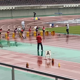 ４年男女80m予選②の画像
