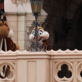 チデに癒される(*´ω｀*)の画像