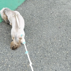 お泊まり　ファミリーの画像