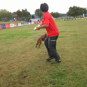 決戦ジャパンファイナル2016奈良橿原の画像