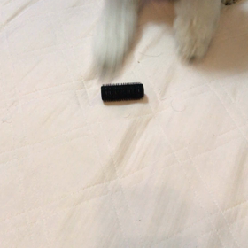 何してる？の画像