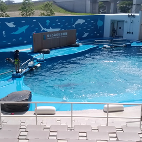 わくわく　の画像