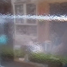 今日のなづニャン(=^ェ^=)の画像