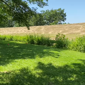 5月29日 クラブ交流リレー練習(芝生)⑩の画像