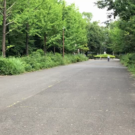 100m記録会 Aグループ⑥の画像