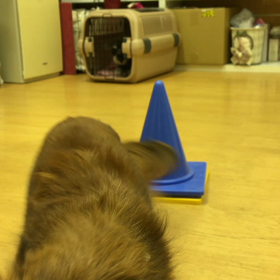 チェリー編。の画像