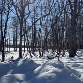 ブログのアクセス分析の画像