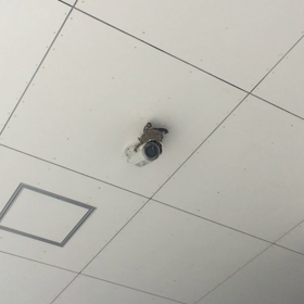 【今日のツバメちゃん】 ヤクルトソフトバンク戦＠明治神宮球場の画像