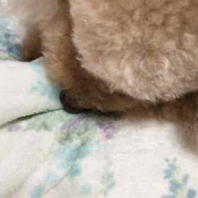 ゴールデンウィークあけての画像