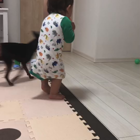 パソコンが！！！！の画像