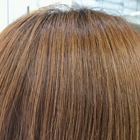 初夏カラー！の画像